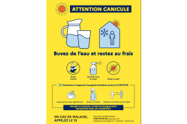 0189172873-canicule-conseil.png