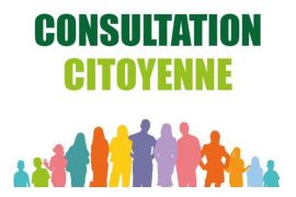 2444242583-consultation-citoyenne.jpg