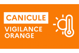 3032787719-canicule-orange.png
