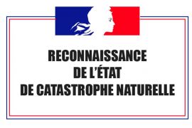 3640156139-catastrophe-naturelle.jpeg