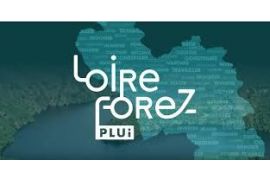 7383193733-mini_2856926319_1141_lfa-plui.jpg