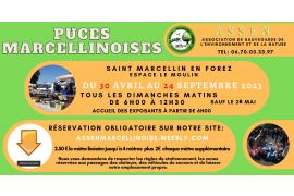 7901365107-2023-puces-marcellinoises.jpg