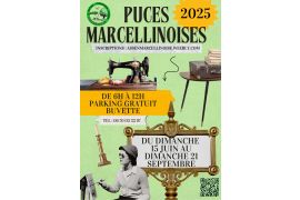 8660828589-puces-marcellinoises.jpg