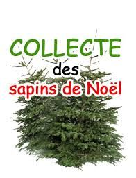 2870415717_496_collecte-des-sapins-de-noel2.jpg