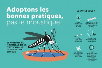 4506029579_894_adoptons-les-bonnes-pratiques-pas-le-moustique.jpg