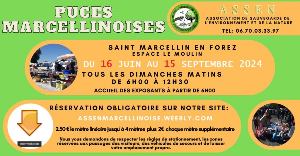 image gauche