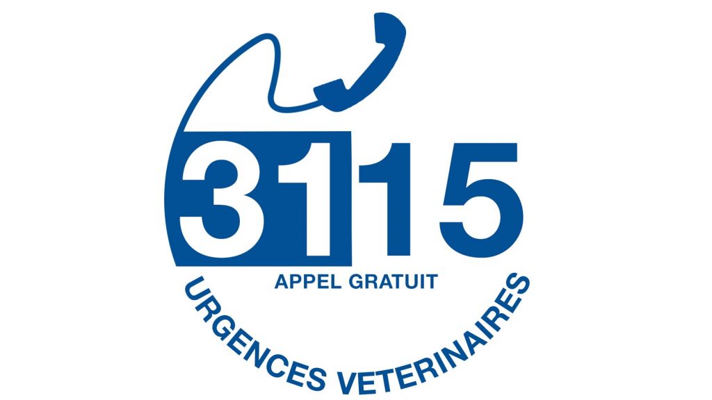9513164105_1143_urgences-veterinaires-rond-16x9.jpg